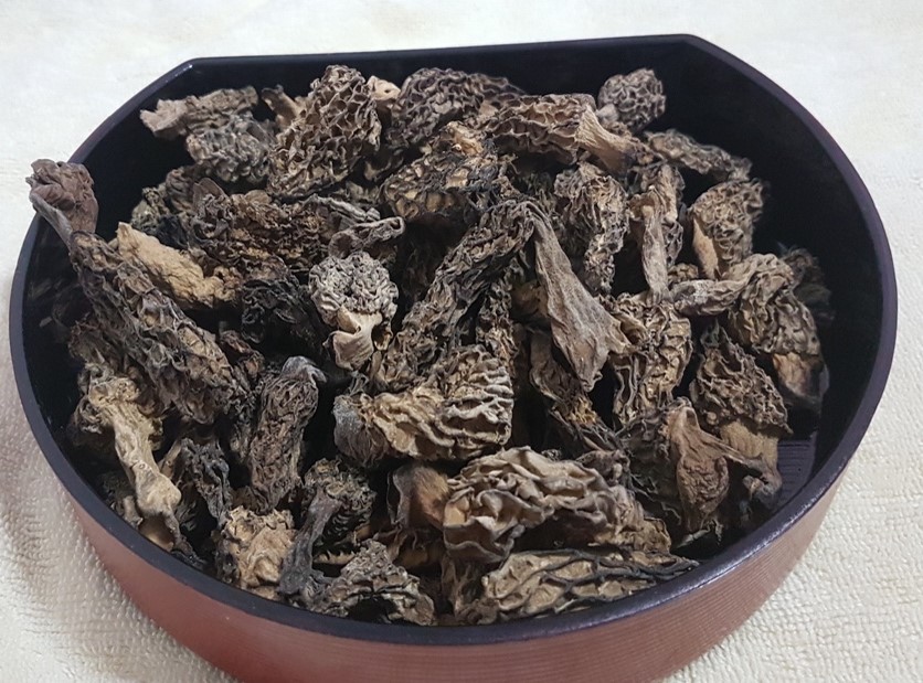 Wild Himalayan Morels
