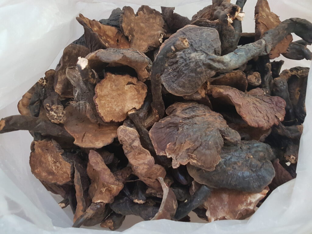 Dried Wild Himalayan Lingzhi